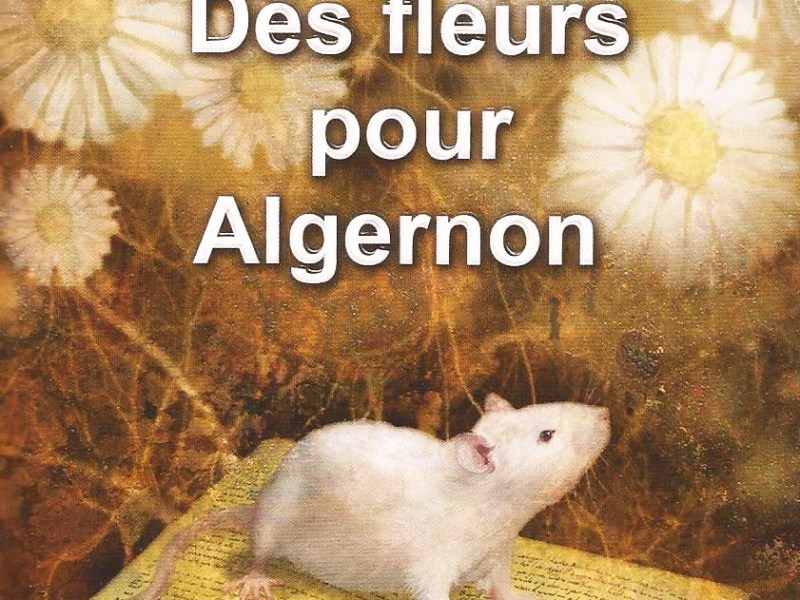 Des Fleurs Pour&nbsp;Algernon