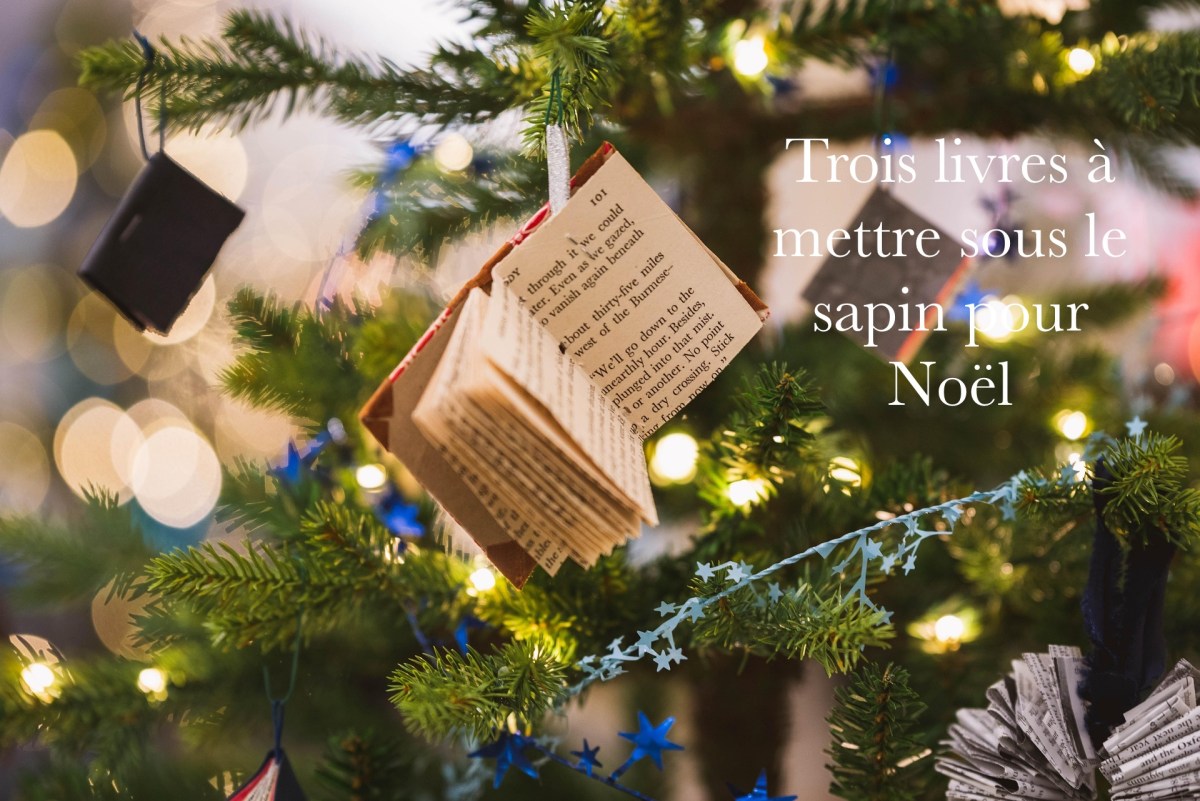 [ARTICLE ]Trois livres à mettre sous le sapin pour&nbsp;Noël